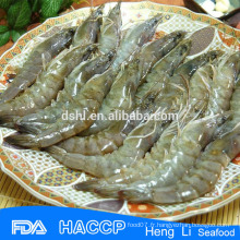 HL002 Chine exportateurs de crevettes fraîches